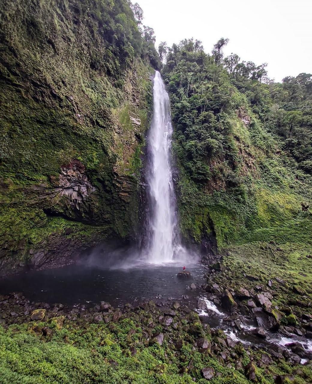 A tall waterfall falling into a pool surrounded by cloud forest
